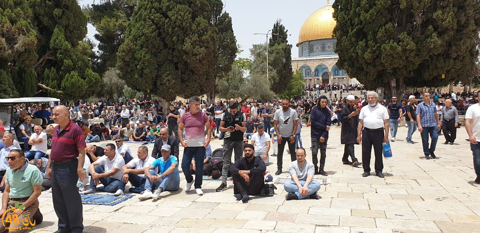 فيديو وصور من باحات المسجد الأقصى المبارك 